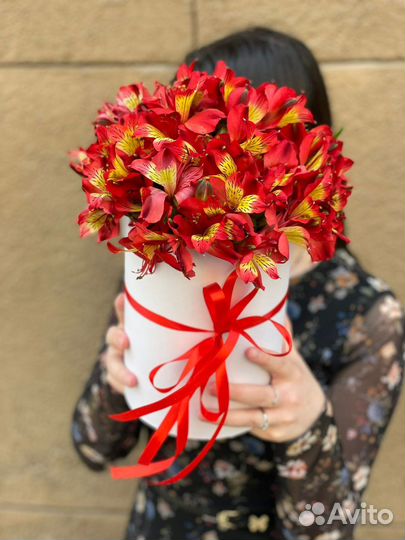 Альстромерии