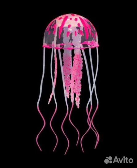 Медуза для аквариума