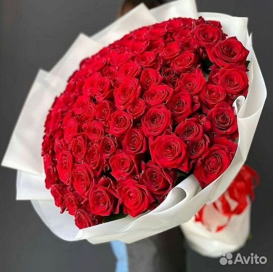 Розы гиганты 140 150 160 170 180 200