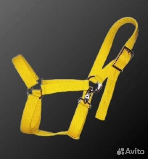 Недоуздок для лошади