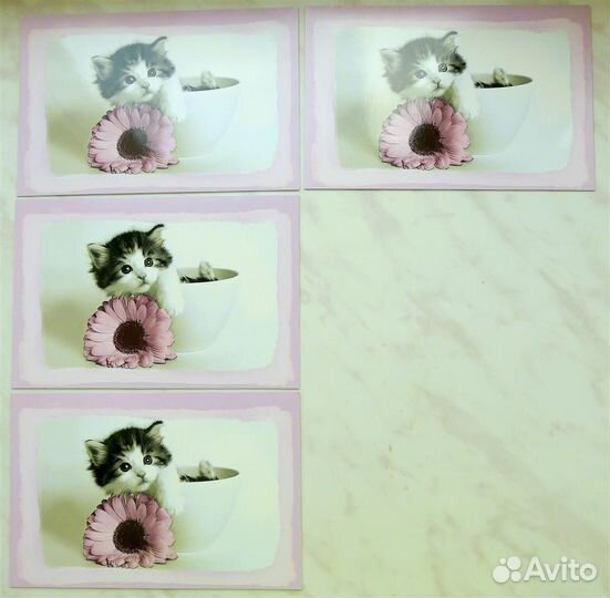 Открытки Современные Поздравительные на Все Случаи