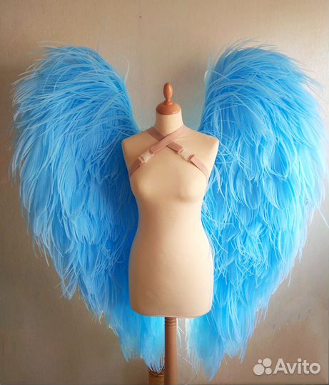 Голубые крылья ангела