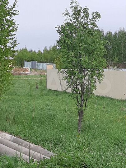 Участок 13 сот. (ИЖС)