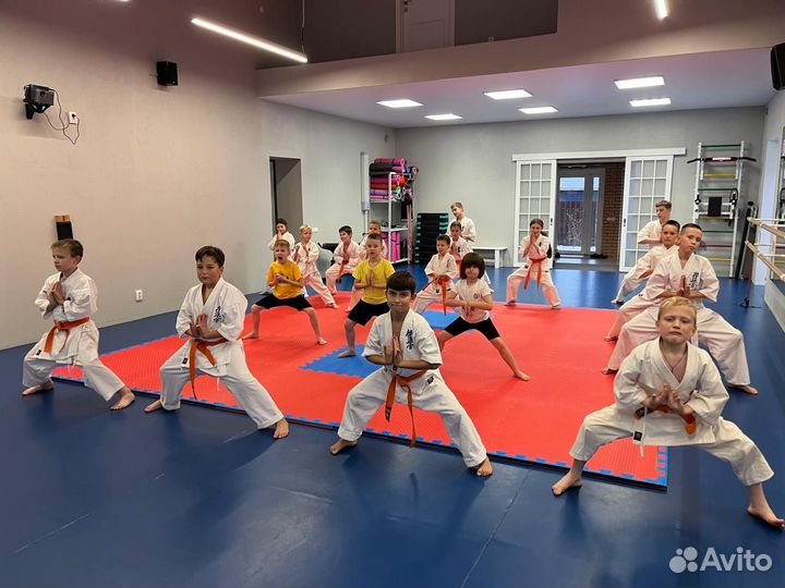 Будо маты, татами, додянг, мягкий пол