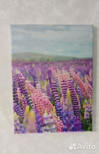 Три картины на холсте Лаванда