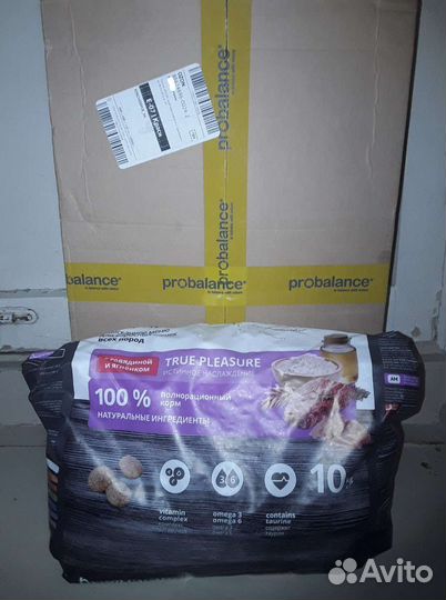 Кот-обреченец