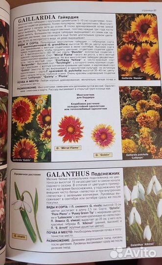 Книга справочник Всё о цветах Хессайон