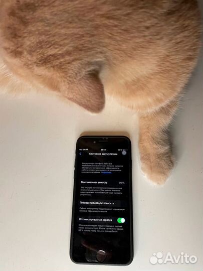 Телефон iPhone 7