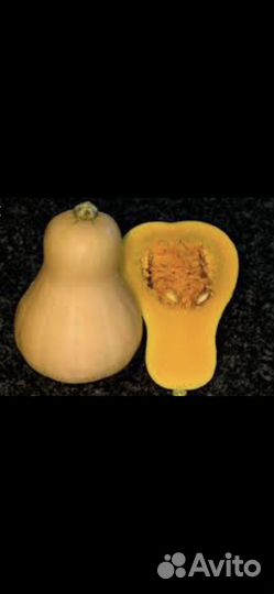 Семена тыквы- грушевидная