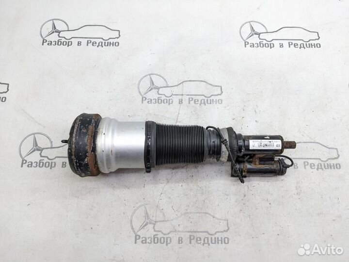 Пневмостойка передняя w220 S-class 113.966 19.0