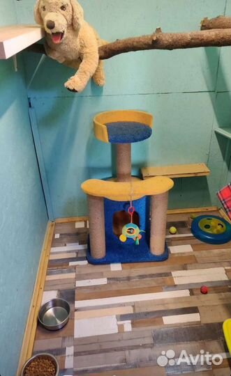 Передержка/Гостиница для животных 