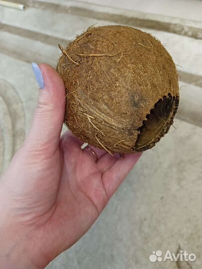 Кокос, домик для грызунов