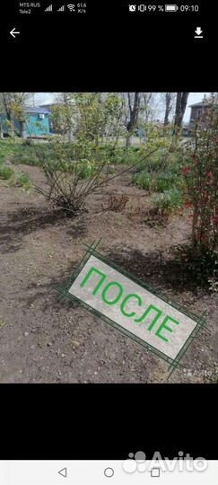 Уборка дачных участков