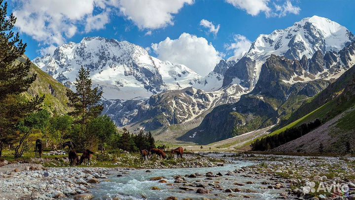 Автобусный тур на Кавказ: Эльбрус, Кисловодск