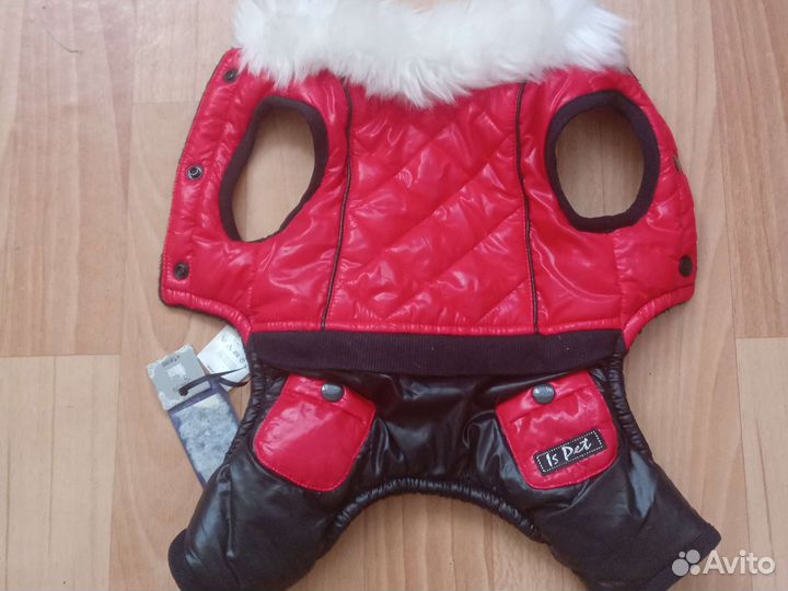 Одежда для маленьких собак