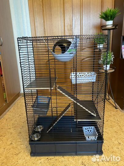 Клетка для грызунов бу