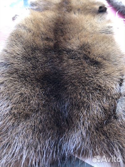 Мех голубой норки