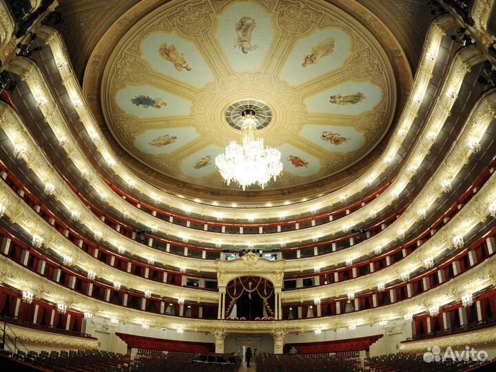 Билеты в большой театр Москвы за 1/2