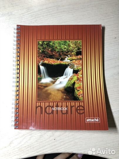 Тетради и блокноты в клетку