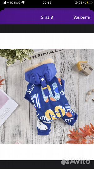 Комбинизон для собак средних и мелких пород