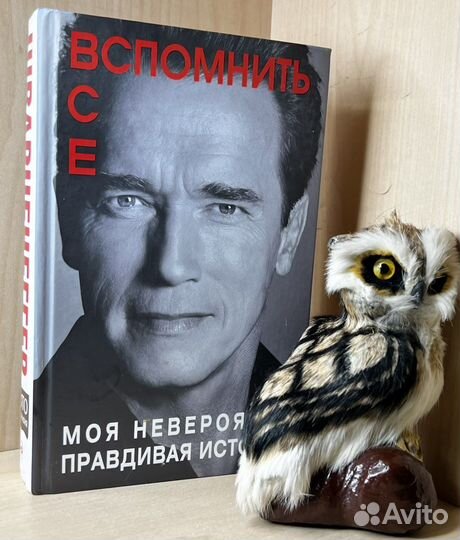 Арнольд Шварценеггер. Вспомнить все. Моя невероятн