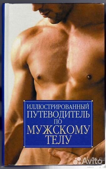 Иллюстрированный путеводитель по мужскому телу