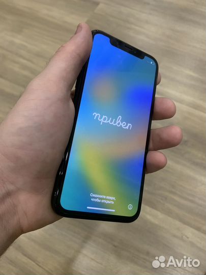 iPhone X