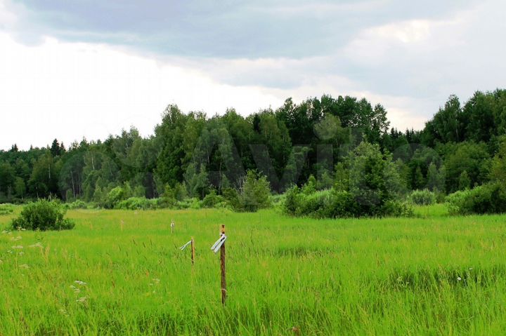 Участок 12 сот. (СНТ, ДНП)