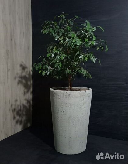 Вазон для цветов на 80 литров, авито доставка 20