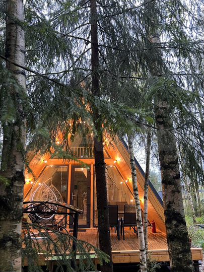 Коттедж 46 м² на участке 10 сот.