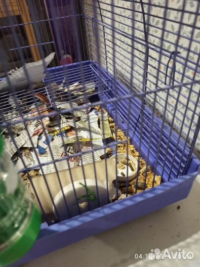 Клетка для грызуна