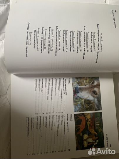 Энциклопедия Собаки