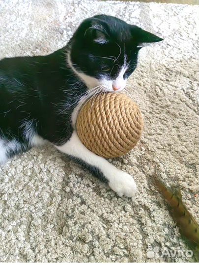 Когтеточки для кошек разных размеров