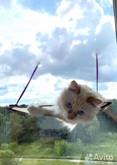 Гамак на окно для кошек котят котов