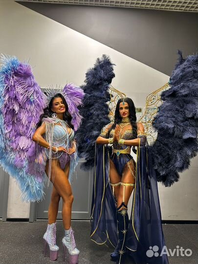 Крылья Artistic model