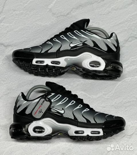 Кроссовки Nike air max tn plus