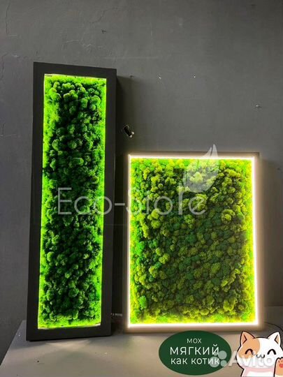 Панно из мха на подарок