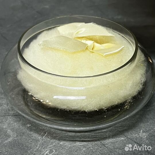 Банка шкатулка на дамский столик