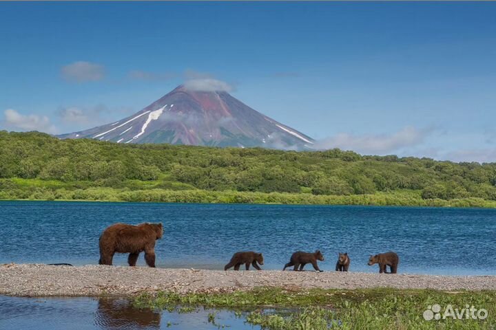 Турпутевка на Камчатку шесть дней отель 3 зв