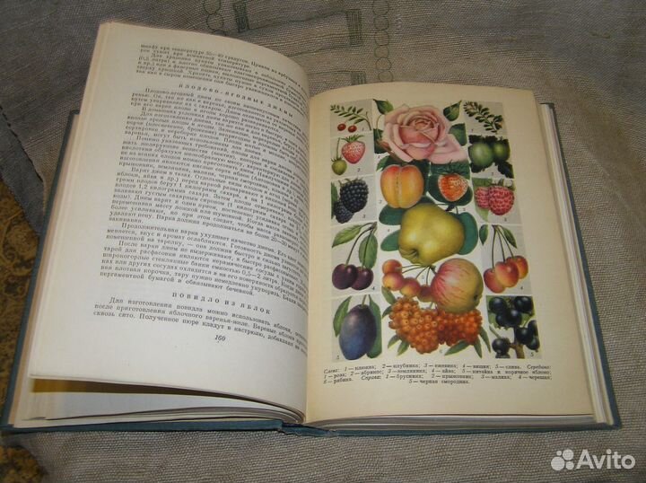 Домоводство Госсельхозиздат 1957 год Состояние
