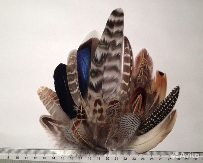 Перья сойки, цесарки, утки и др птиц для украшений