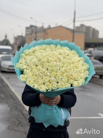 Белая Роза шикарная