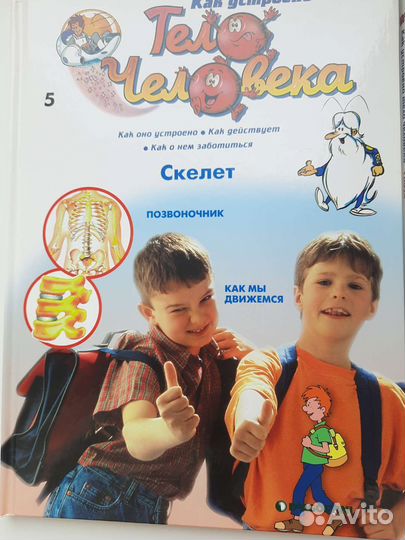 Энциклопедии Тело человека