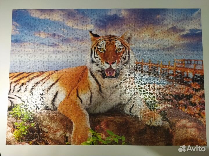 Пазлы 500 деталей