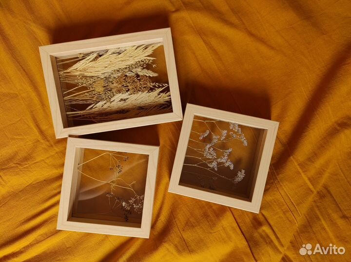 Рамки для гербария, фото
