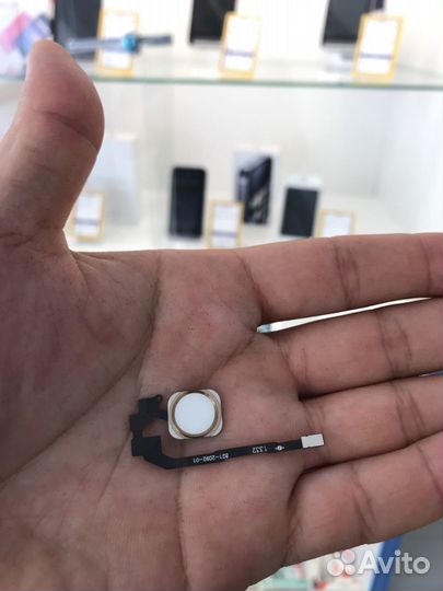 Кнопка Home iPhone 5s. В наличии