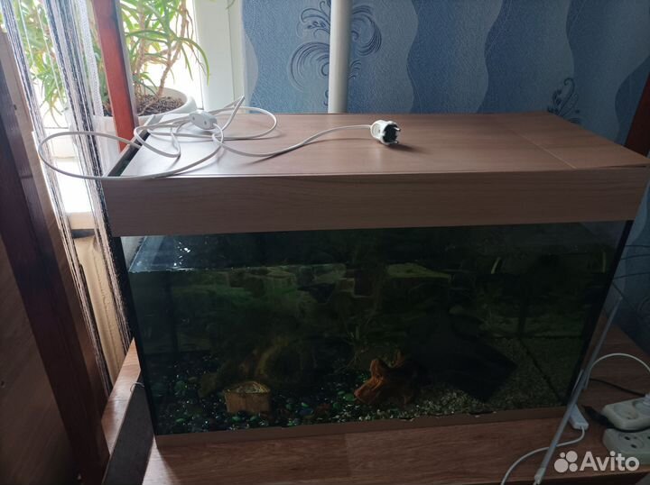 Аквариум