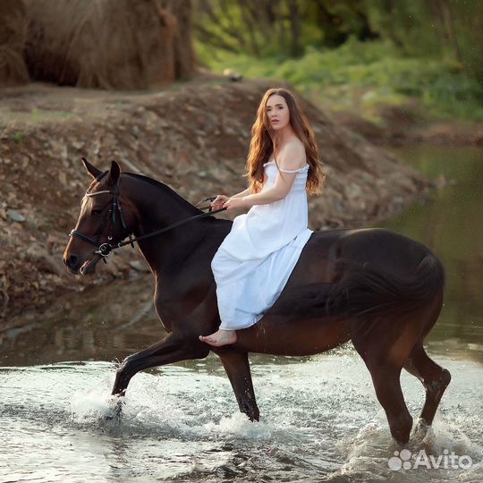 Продается кобыла