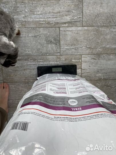 Корм для собак Royal Canin Renal 14кг. Лечебный