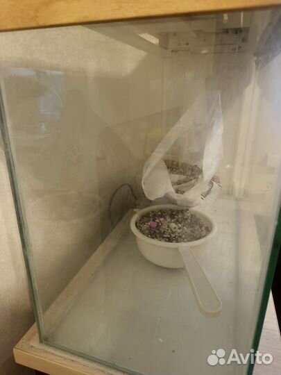 Аквариум с грунтом